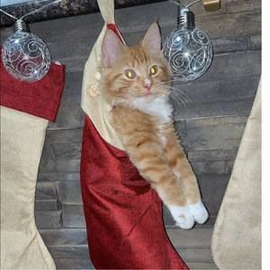 Meet your Posher, Jay